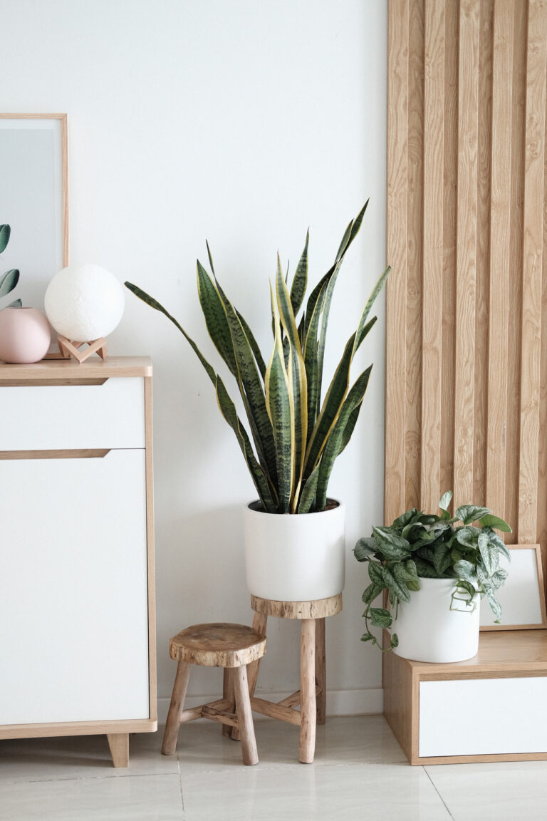 Top 10 Emerging Home Decor Trends for Next Year